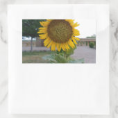 Sticker Rectangulaire Tournesol (Sac)
