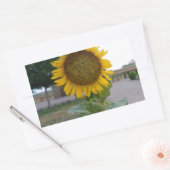 Sticker Rectangulaire Tournesol (Enveloppe)