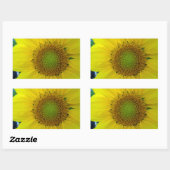 Sticker Rectangulaire Tournesol et graines, Spirale, Ratio doré (Feuille)