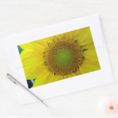 Sticker Rectangulaire Tournesol et graines, Spirale, Ratio doré (Enveloppe)