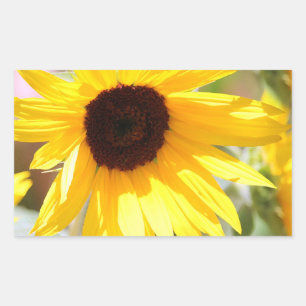 Sticker Rectangulaire Tournesol peinture numérique