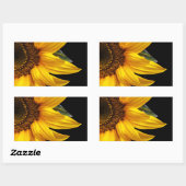 Sticker Rectangulaire Tournesols - Tournesol Customisé Modèle blanc (Feuille)