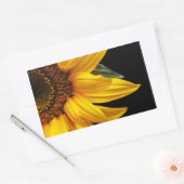 Sticker Rectangulaire Tournesols - Tournesol Customisé Modèle blanc (Enveloppe)