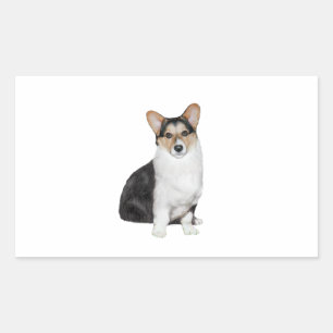 Sticker Rectangulaire Tri Coor Welsh Corgi