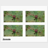 Sticker Rectangulaire Trillium Flower (Feuille)