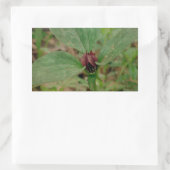 Sticker Rectangulaire Trillium Flower (Sac)