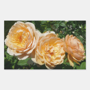 Sticker Rectangulaire Trio de Pêche Rose Floral