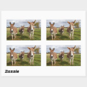 Sticker Rectangulaire Trois ânes (Feuille)