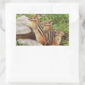 Sticker Rectangulaire Trois Chipmunks pour bébés (Sac)