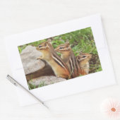 Sticker Rectangulaire Trois Chipmunks pour bébés (Enveloppe)