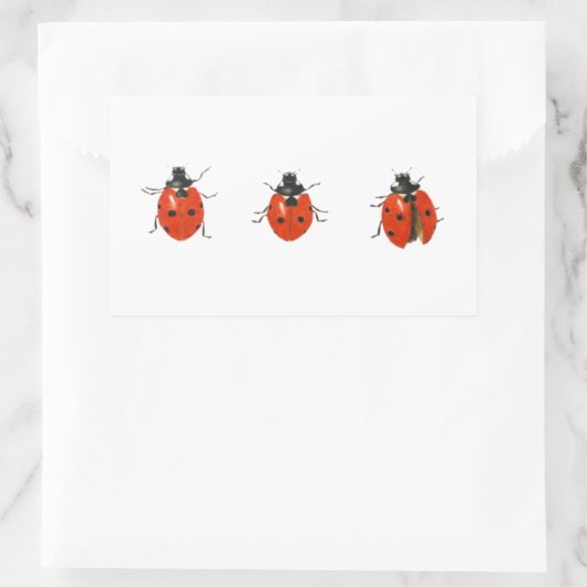 Sticker Rectangulaire Trois coccinelles 2013 (Sac)