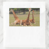 Sticker Rectangulaire Trois girafe à Fossil Rim (Sac)
