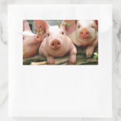 Sticker Rectangulaire Trois petits cochons (Sac)