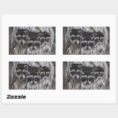 Sticker Rectangulaire Trois ratons laveurs dans un arbre (Feuille)