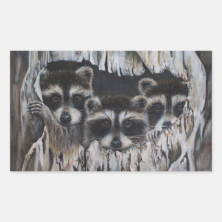 Sticker Rectangulaire Trois ratons laveurs dans un arbre
