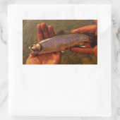 Sticker Rectangulaire Trout à Hands (Sac)