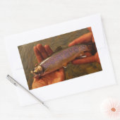 Sticker Rectangulaire Trout à Hands (Enveloppe)