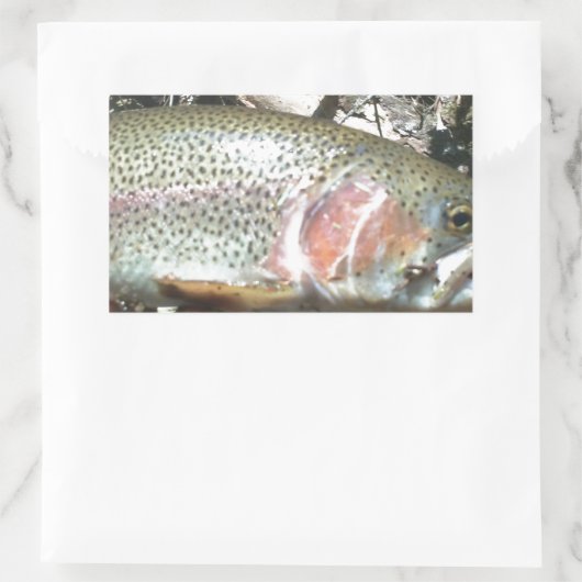 Sticker Rectangulaire Truite arc-en-ciel (Sac)