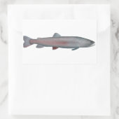 Sticker Rectangulaire Truite du Rhône (Sac)