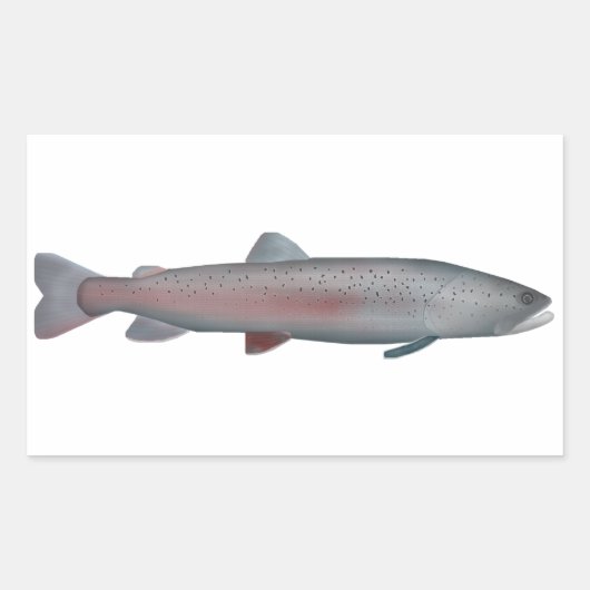 Sticker Rectangulaire Truite du Rhône (Devant)