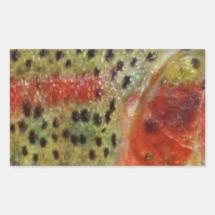 Sticker Rectangulaire Truite en main