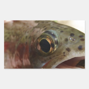 Sticker Rectangulaire Truite en main
