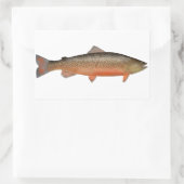 Sticker Rectangulaire Truite tigre (Sac)