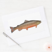 Sticker Rectangulaire Truite tigre (Enveloppe)