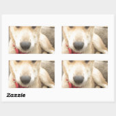 Sticker Rectangulaire Tu Devrais WIFI Ton Amour Tous Les Jours (Feuille)