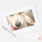 Sticker Rectangulaire Tu Devrais WIFI Ton Amour Tous Les Jours (Enveloppe)
