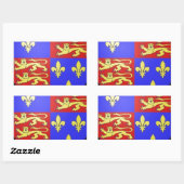 STICKER RECTANGULAIRE TUDOR COAT OF ARMS KING HENRY VIII. (Feuille)