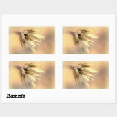 Sticker Rectangulaire Tulip Poplar Graine vide Pod (Feuille)