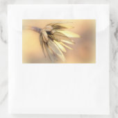 Sticker Rectangulaire Tulip Poplar Graine vide Pod (Sac)