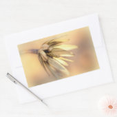 Sticker Rectangulaire Tulip Poplar Graine vide Pod (Enveloppe)
