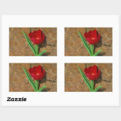 Sticker Rectangulaire Tulipe jaune et rouge (Feuille)