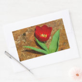 Sticker Rectangulaire Tulipe jaune et rouge (Enveloppe)