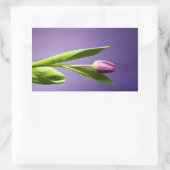 Sticker Rectangulaire Tulipe pourpre (Sac)