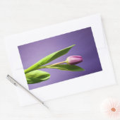 Sticker Rectangulaire Tulipe pourpre (Enveloppe)
