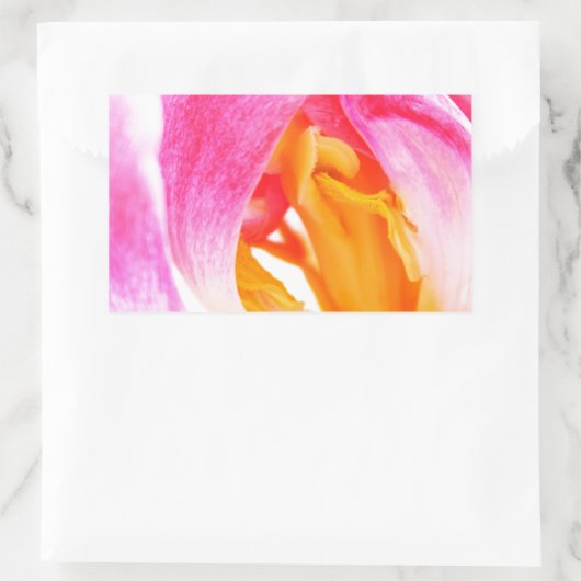 Sticker Rectangulaire tulipe rose (Sac)