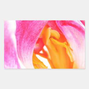 Sticker Rectangulaire tulipe rose