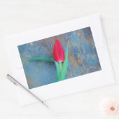 Sticker Rectangulaire Tulipe rouge sur ardoise gris bleu (Enveloppe)