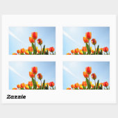 Sticker Rectangulaire Tulipes orange et rouge du dessous (Feuille)