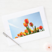 Sticker Rectangulaire Tulipes orange et rouge du dessous (Enveloppe)