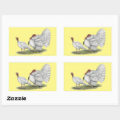 Sticker Rectangulaire Turkeys White Holland (Feuille)