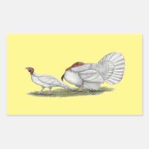 Sticker Rectangulaire Turkeys White Holland