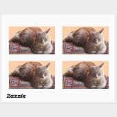 STICKER RECTANGULAIRE TURKISH CAT ON THE OLD CARPET (Feuille)