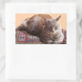 STICKER RECTANGULAIRE TURKISH CAT ON THE OLD CARPET (Sac)