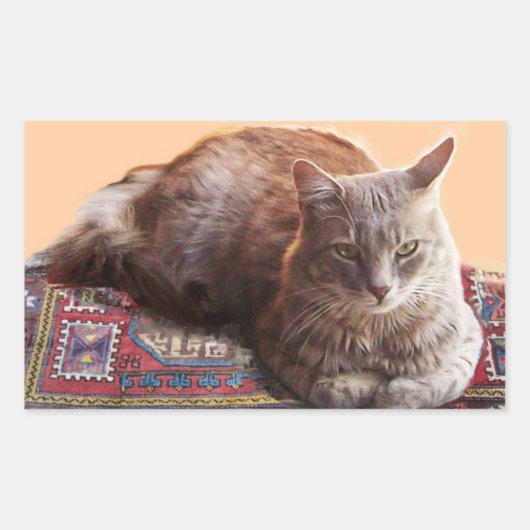 STICKER RECTANGULAIRE TURKISH CAT ON THE OLD CARPET (Devant)