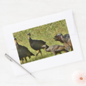 Sticker Rectangulaire Turquie sauvage, couleurs du Camouflage (Enveloppe)