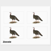 Sticker Rectangulaire Turquie : Tom sauvage de l'Est (Feuille)